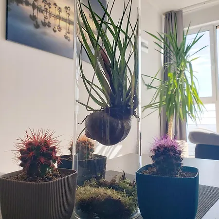 Wavetower Apartament Nisipurile de Aur